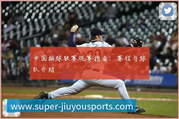 中国排球联赛观赛指南:赛程与球队介绍